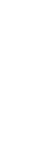 model shadow
